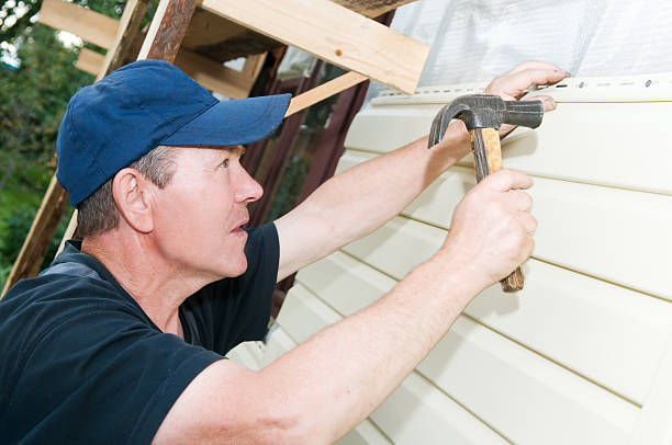 Best Custom Trim and Detailing for Siding  in Milford, DE